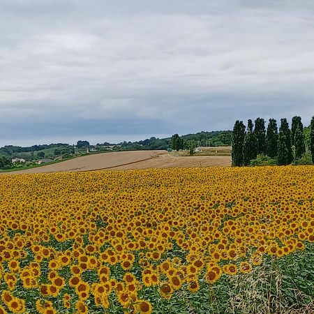 Maison Du Bois Saint-Antoine  エクステリア 写真